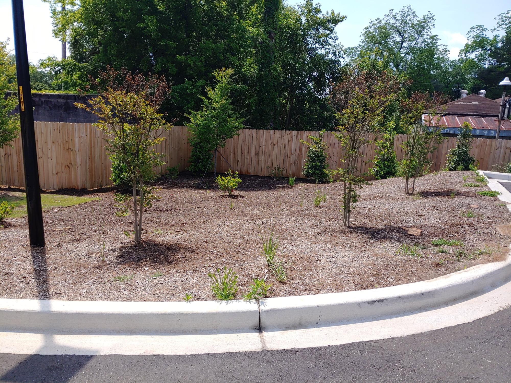 Mulch Area