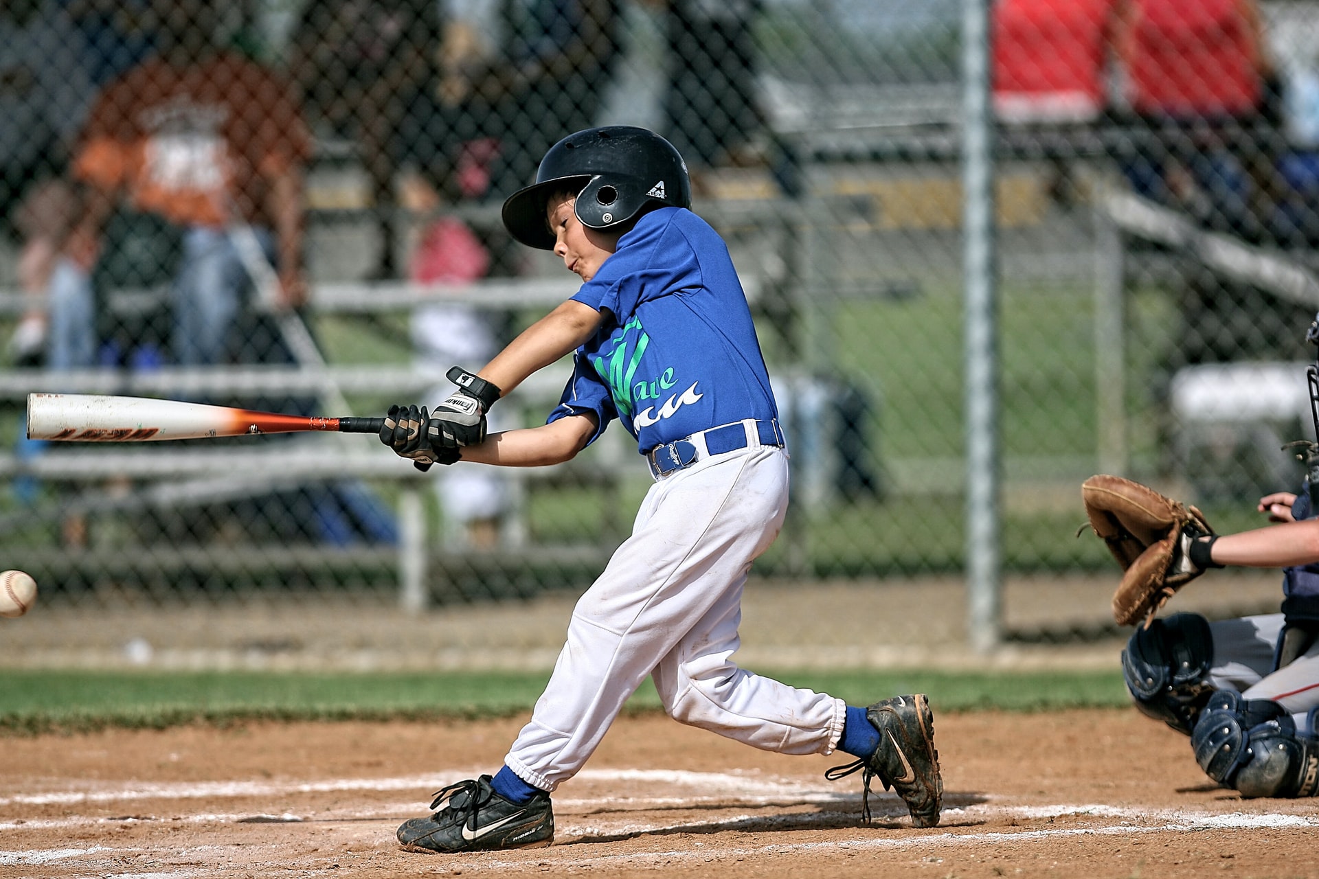 youth baseball